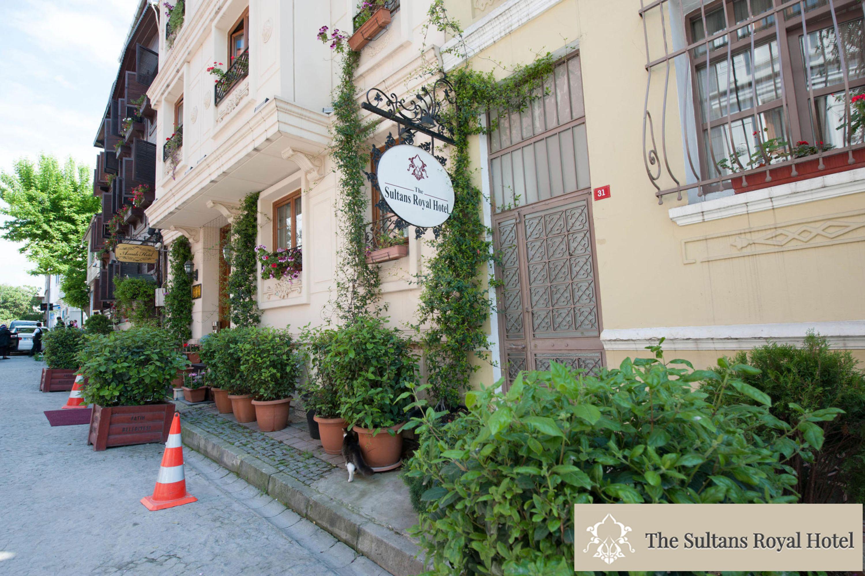 Sultans Royal Hotel Истанбул Екстериор снимка